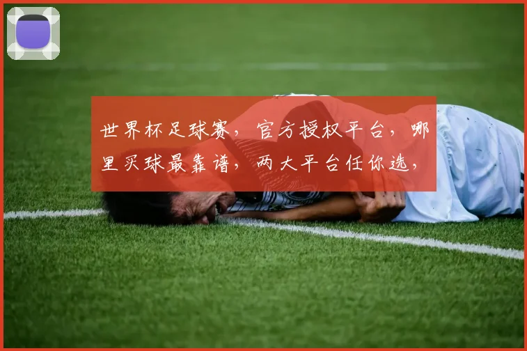 世界杯足球赛，官方授权平台，哪里买球最靠谱，两大平台任你选，快来看看吧